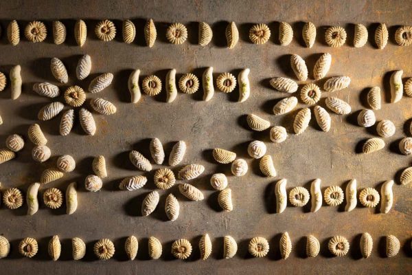 zuzu_book106 zuzu_book106