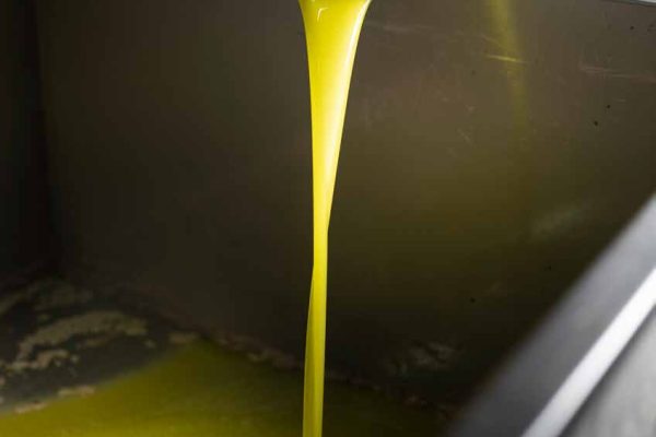 zuzu_book123 zuzu_book123