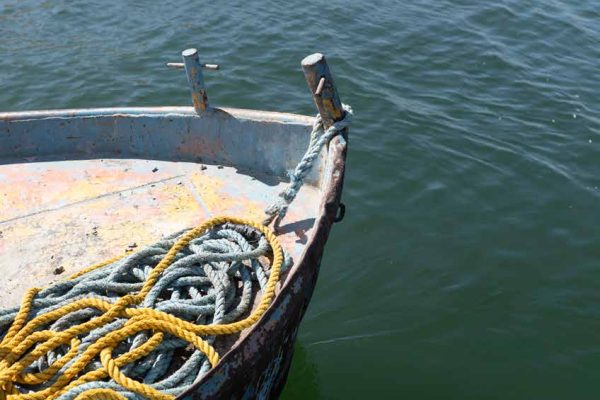 zuzu_book128 zuzu_book128