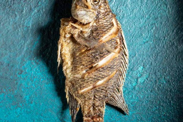 zuzu_book35 zuzu_book35