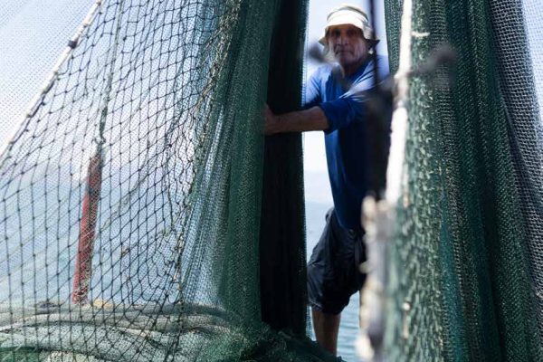 zuzu_book39 zuzu_book39