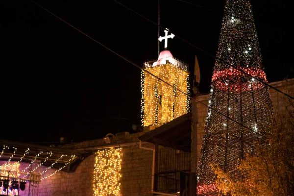 zuzu_book51 zuzu_book51