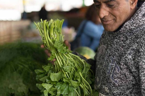 zuzu_book71 zuzu_book71