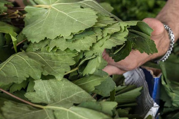 zuzu_book92 zuzu_book92